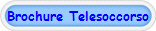 Brochure Telesoccorso
